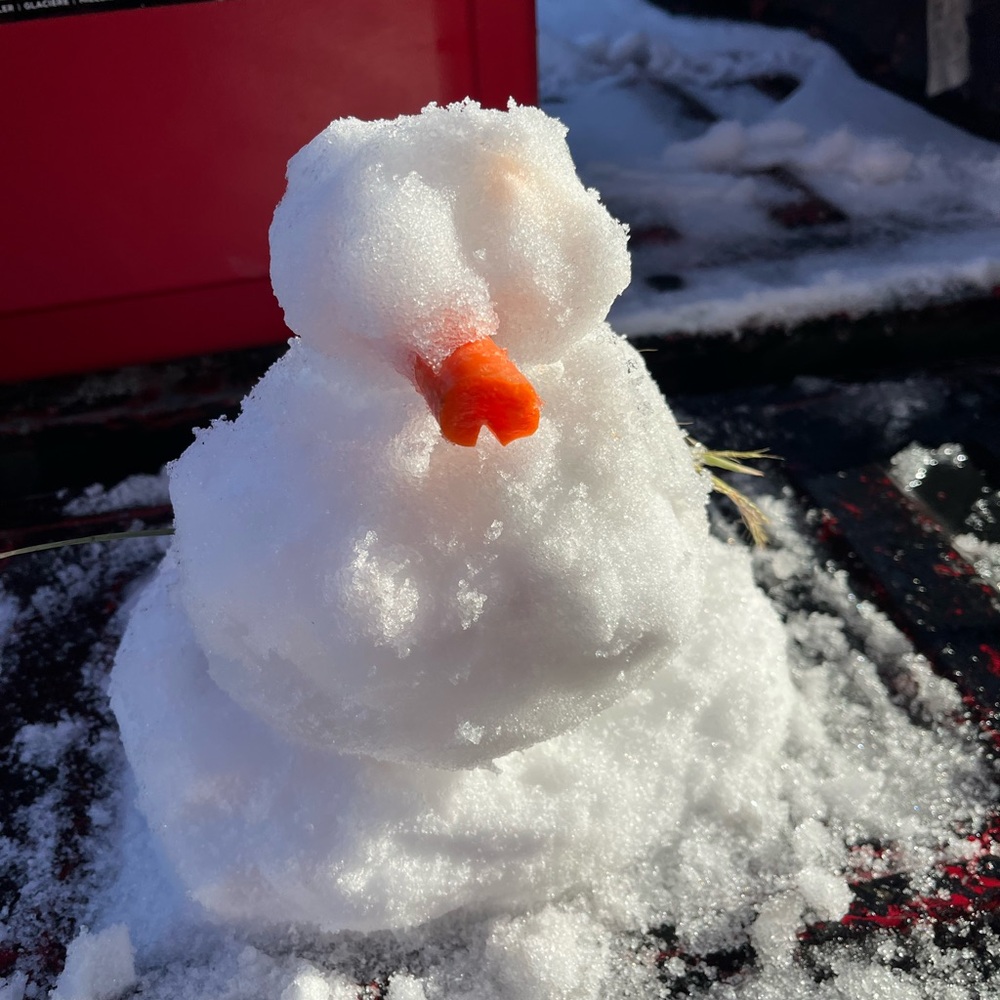 Snowman with Orange Carrot Nose